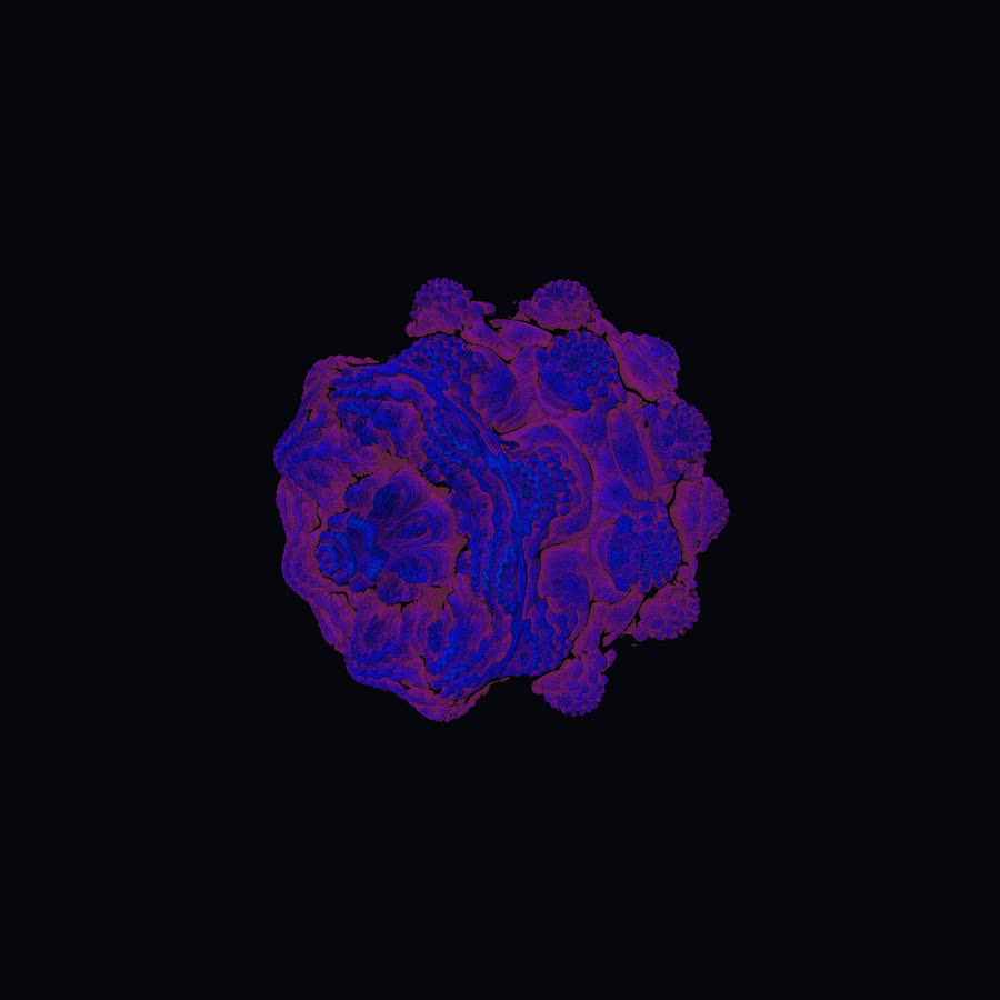 A blue and violet hybrid fractal: a bulbous Mandelbulb-like form with flattened, faceted patches where the Mandelbox shows through.